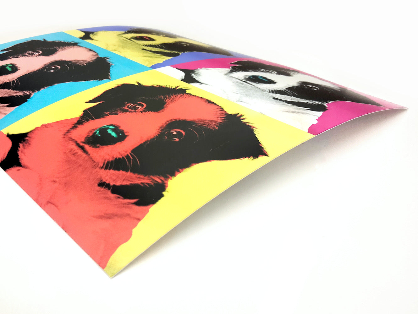Box canvas & Photo Poster Prices